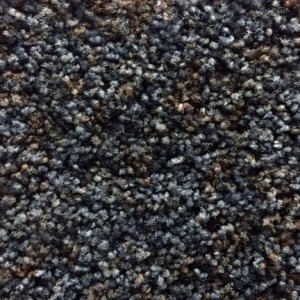 Carpet (3)   