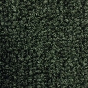 Carpet (5)   
