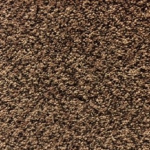 Carpet (6)   