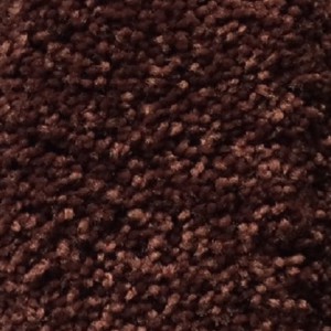 Carpet (7)   